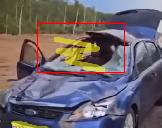 Driver Hits Moose and Somehow Survives to Make This Video